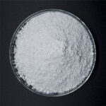 الصفحة الرئيسية -11-